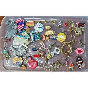 Brooch and Pin Lot, Assorted Materials, Closures and Sizes